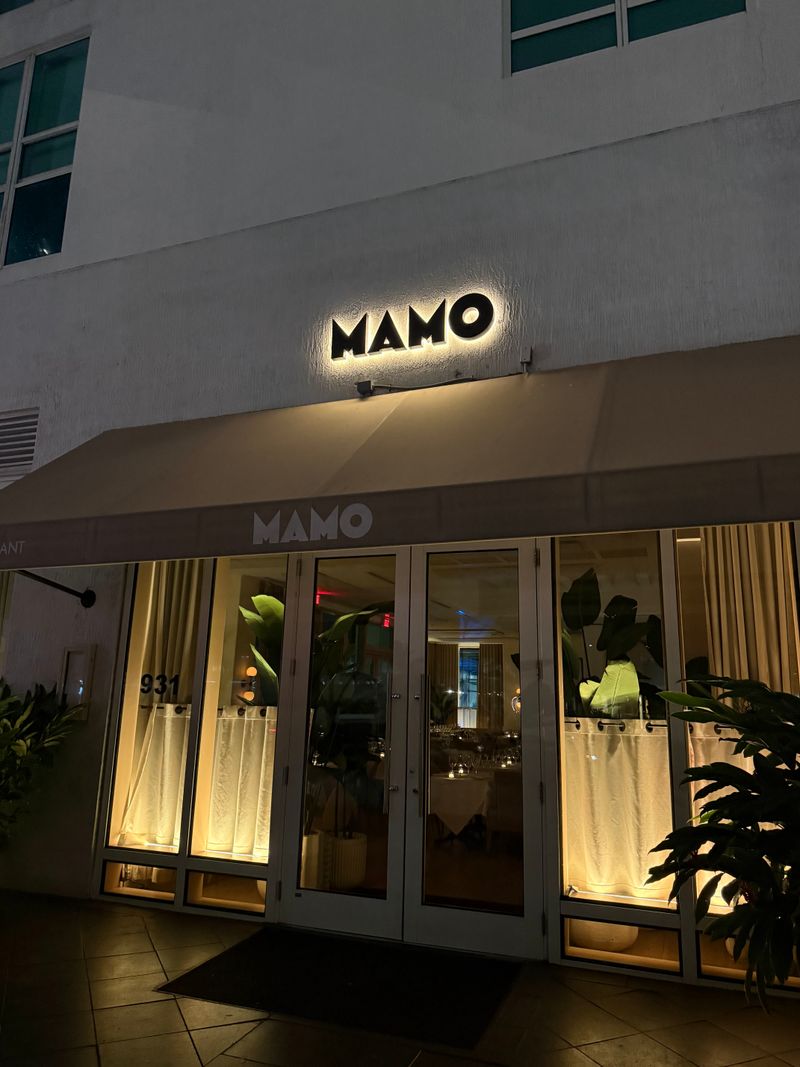 MAMO Miami – Downtown Miami