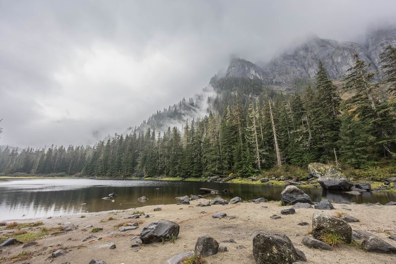Barclay Lake Trail, near Index