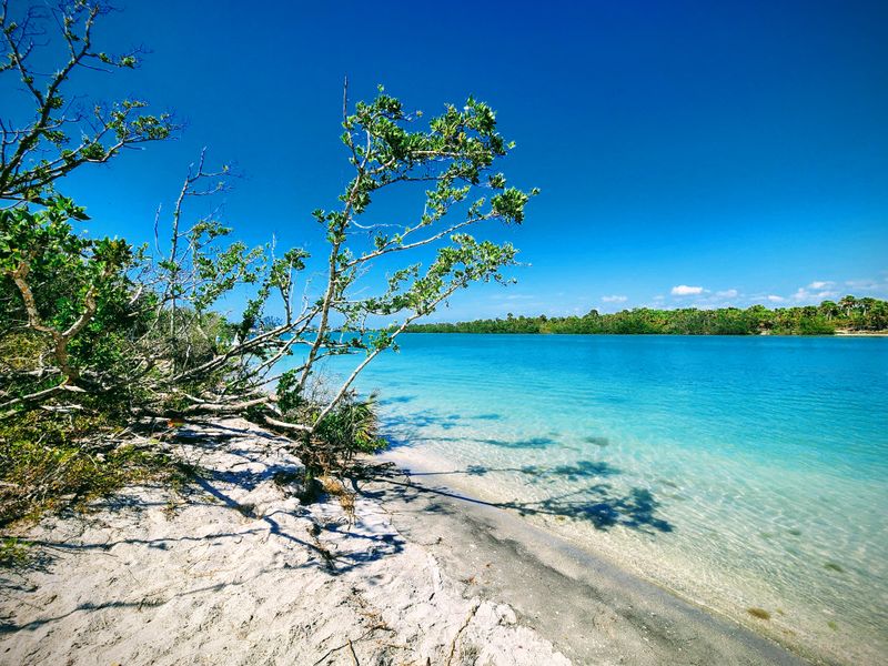 Stump Pass Beach State Park
