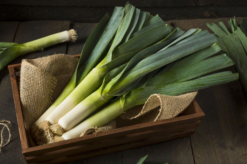 Leeks: Pharaoh's Favorite