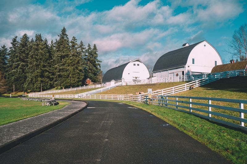Barns and a Homestead With Roots in the 1800s