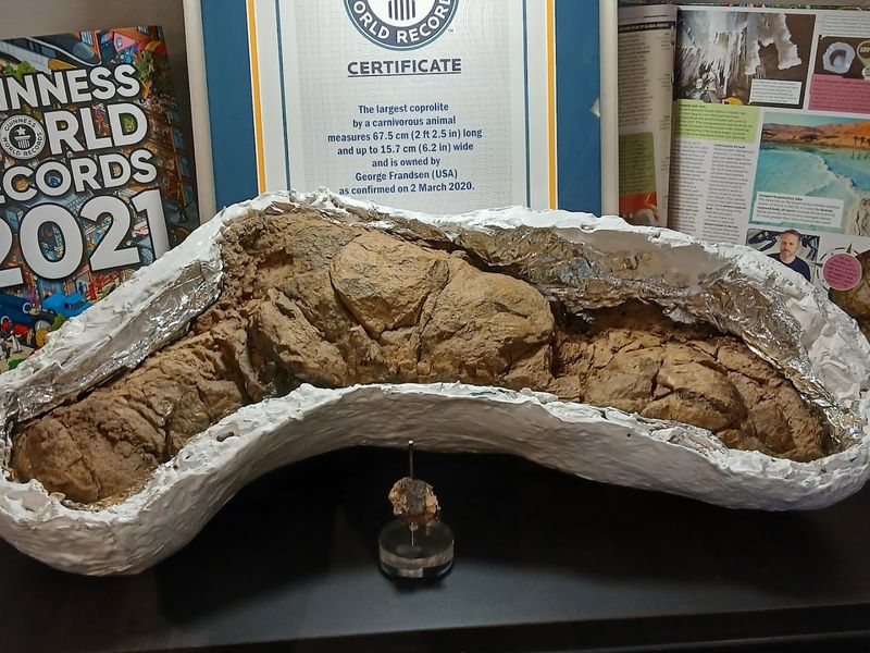 The Titanosaur Replica That Will Blow Your Mind