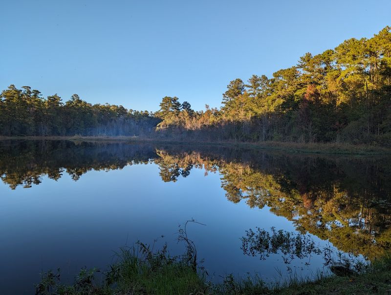 Barnwell State Park Cabins, Blackville