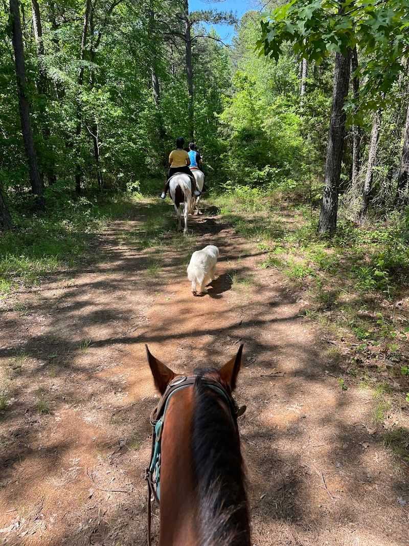 Barnyard Friends & Stables, Morrilton