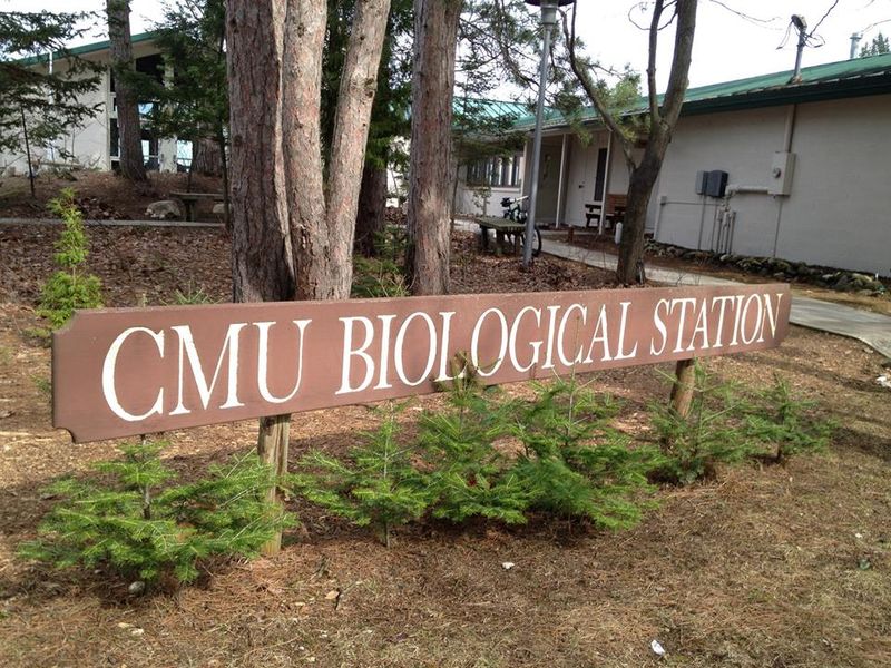Field Notes At The CMU Biological Station