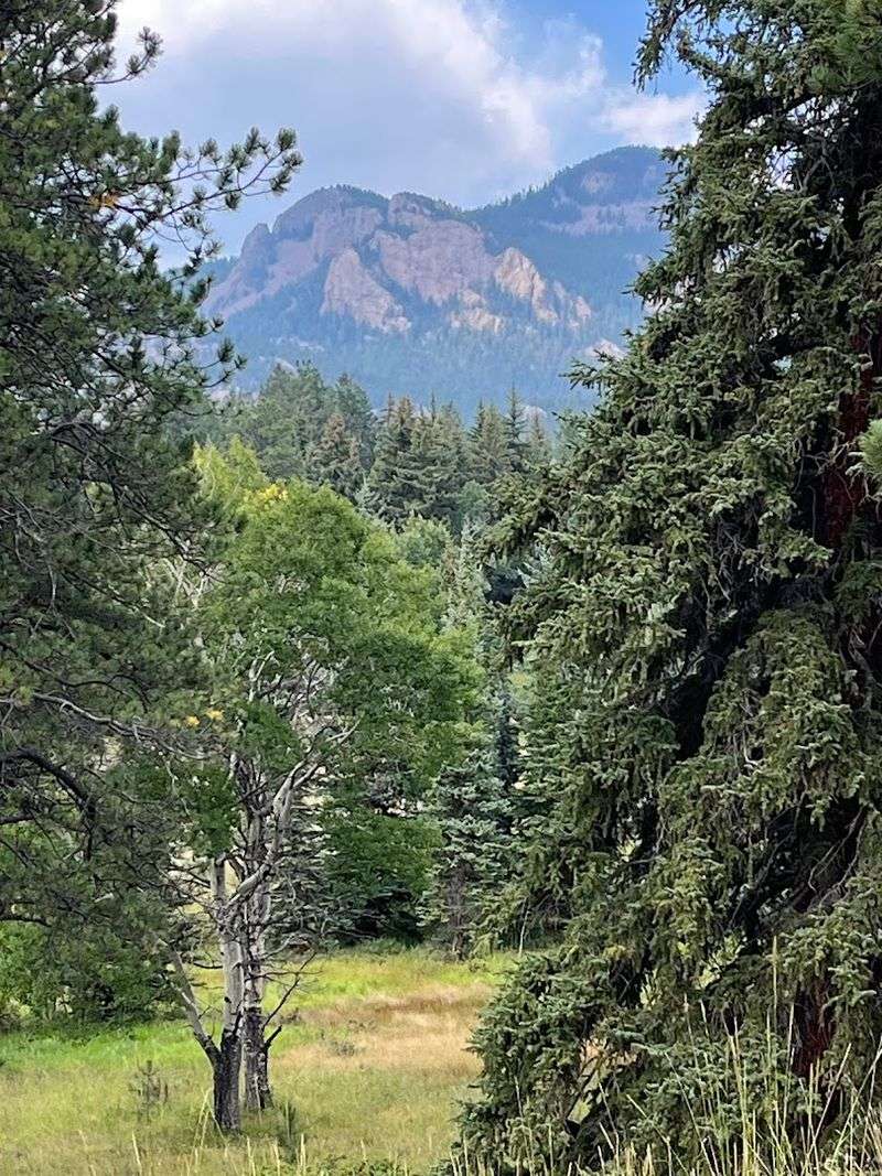 Staunton State Park - Pine