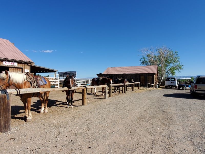 Barrel Racing Brings Speed and Athleticism to the Arena