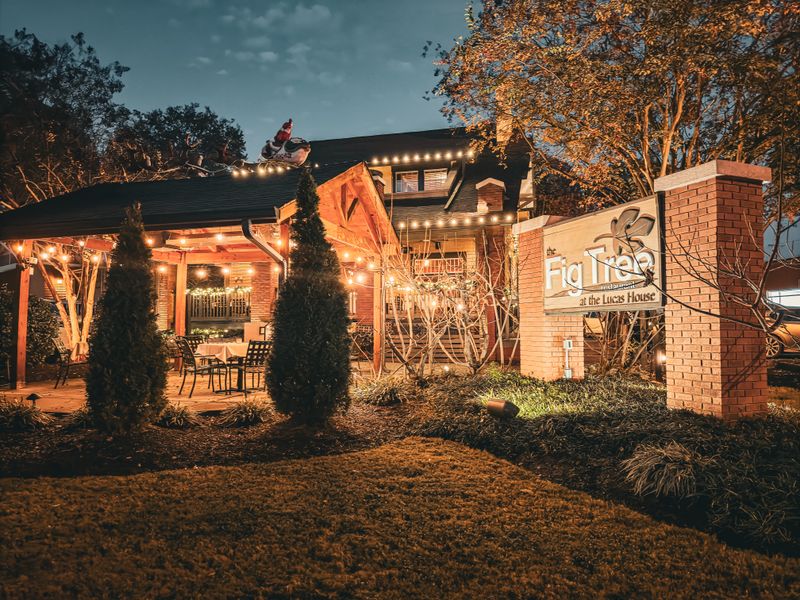 The Fig Tree Restaurant 