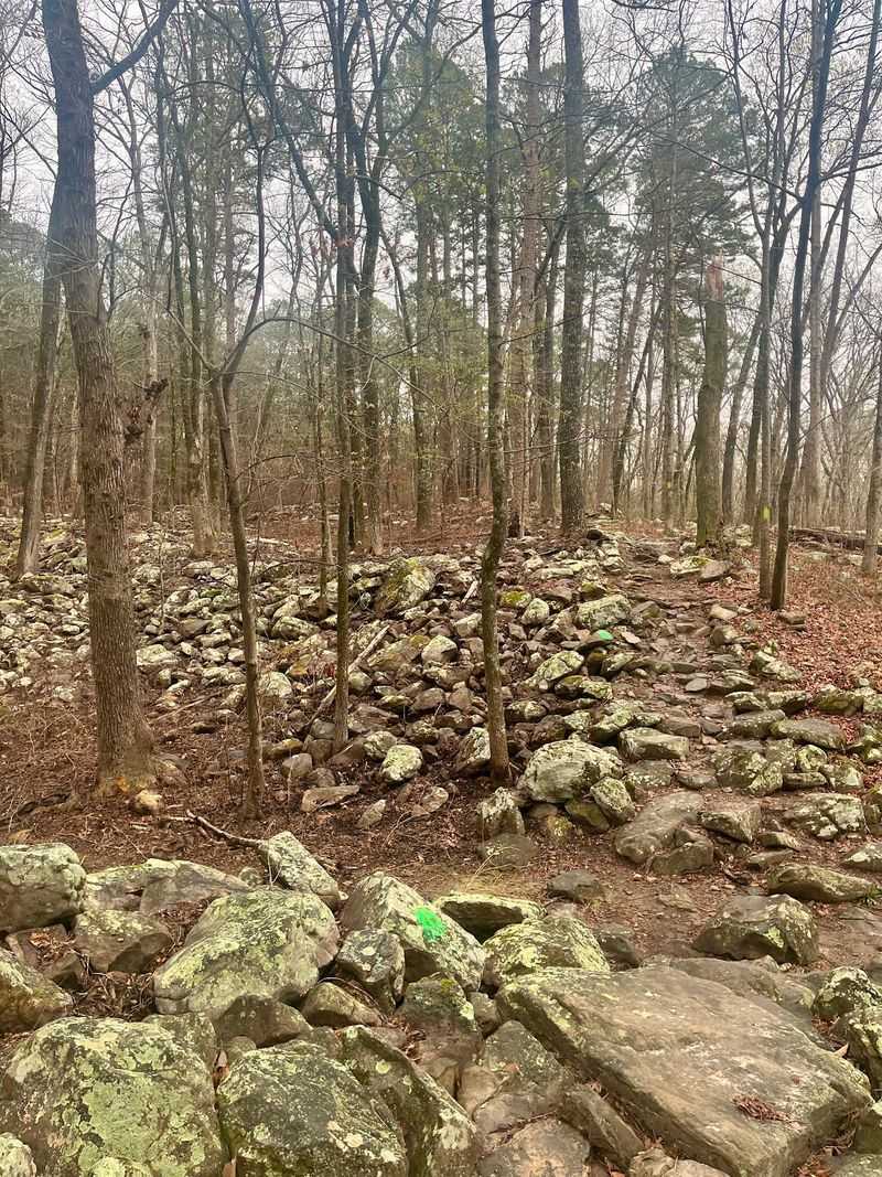 Base Trail, Roland
