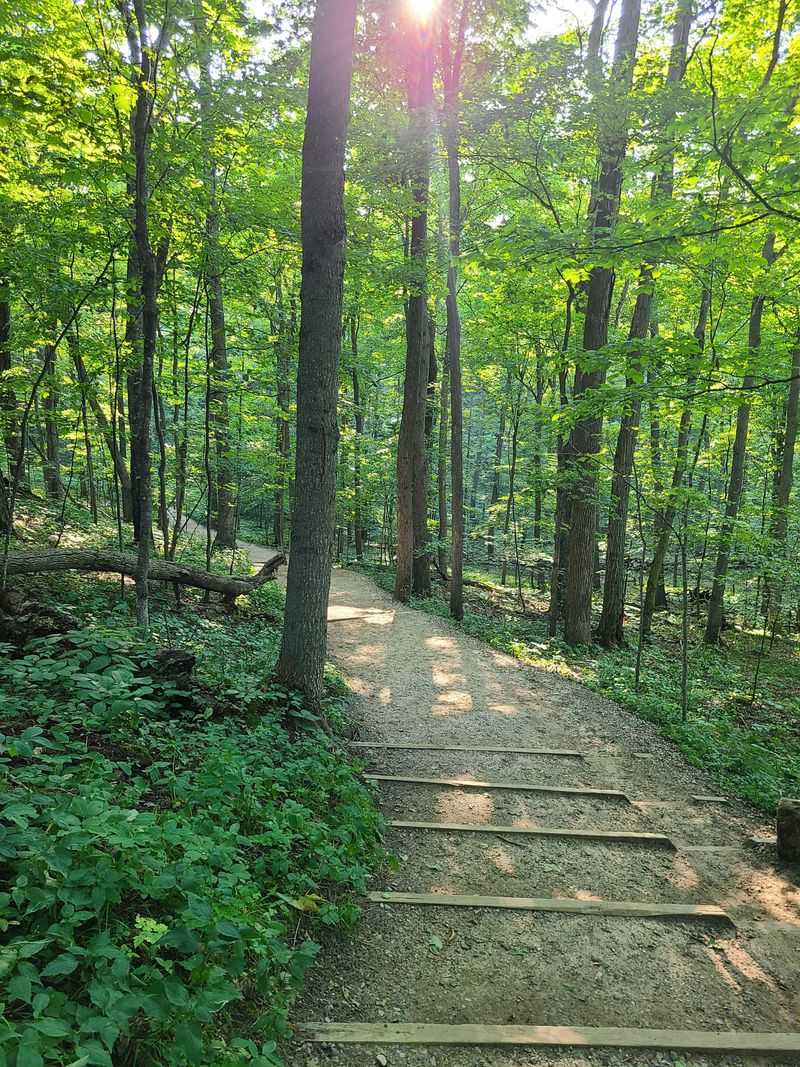 Deer Lake (Sleeping Bear Dunes National Lakeshore, LP)