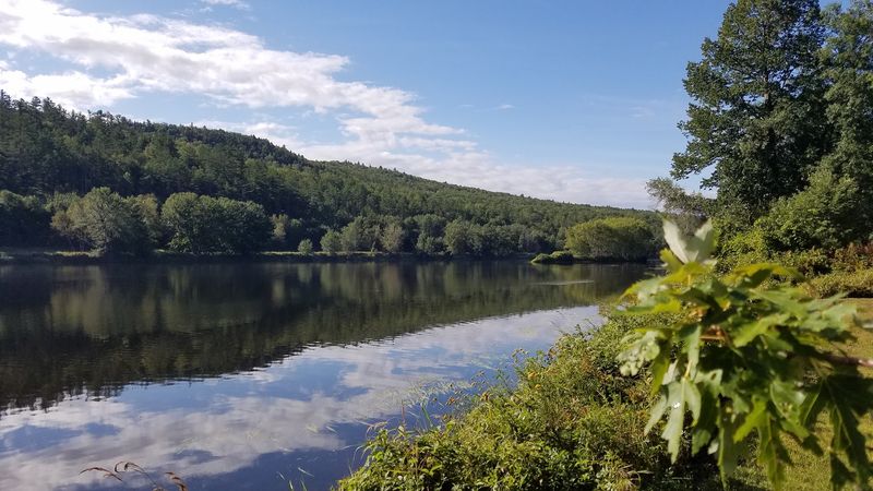 Bass, Paddles, And Swims On The Androscoggin Bass, Paddles, And Swims On The Androscoggin