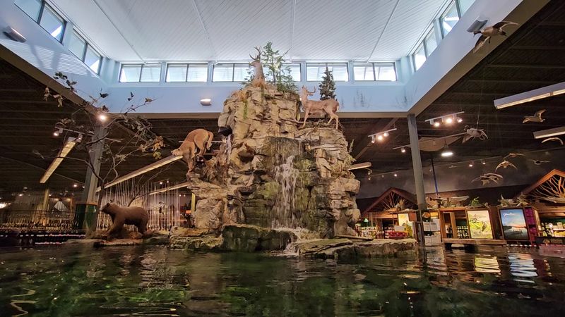 Bass Pro Feels Like A Museum