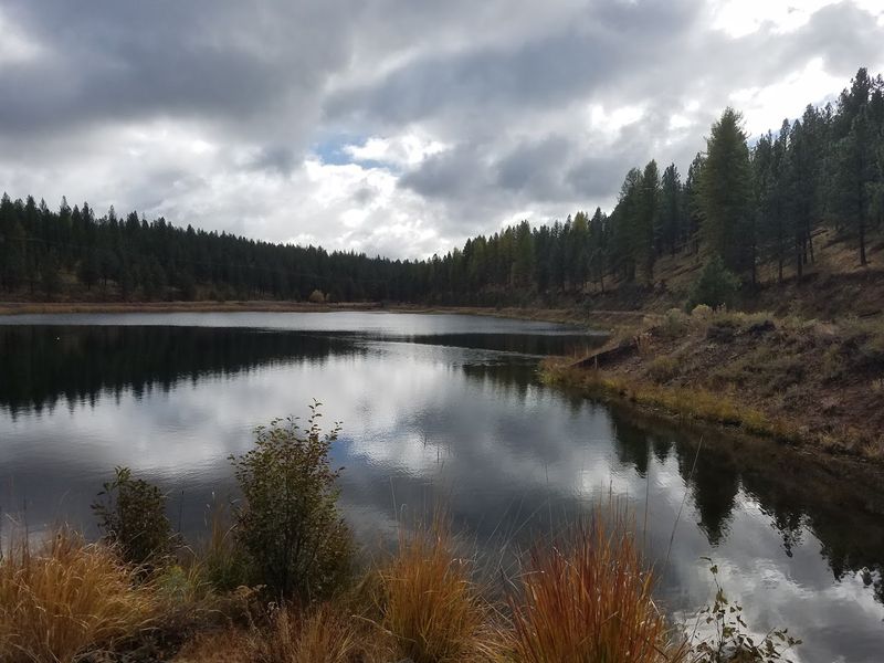 Bates State Park