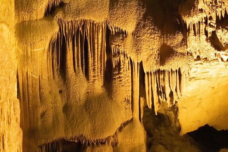 Bats And White-Nose Rules Keep The Cave Healthy
