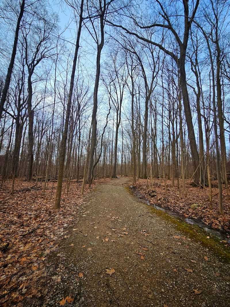 Penitentiary Glen Reservation, Kirtland, Ohio