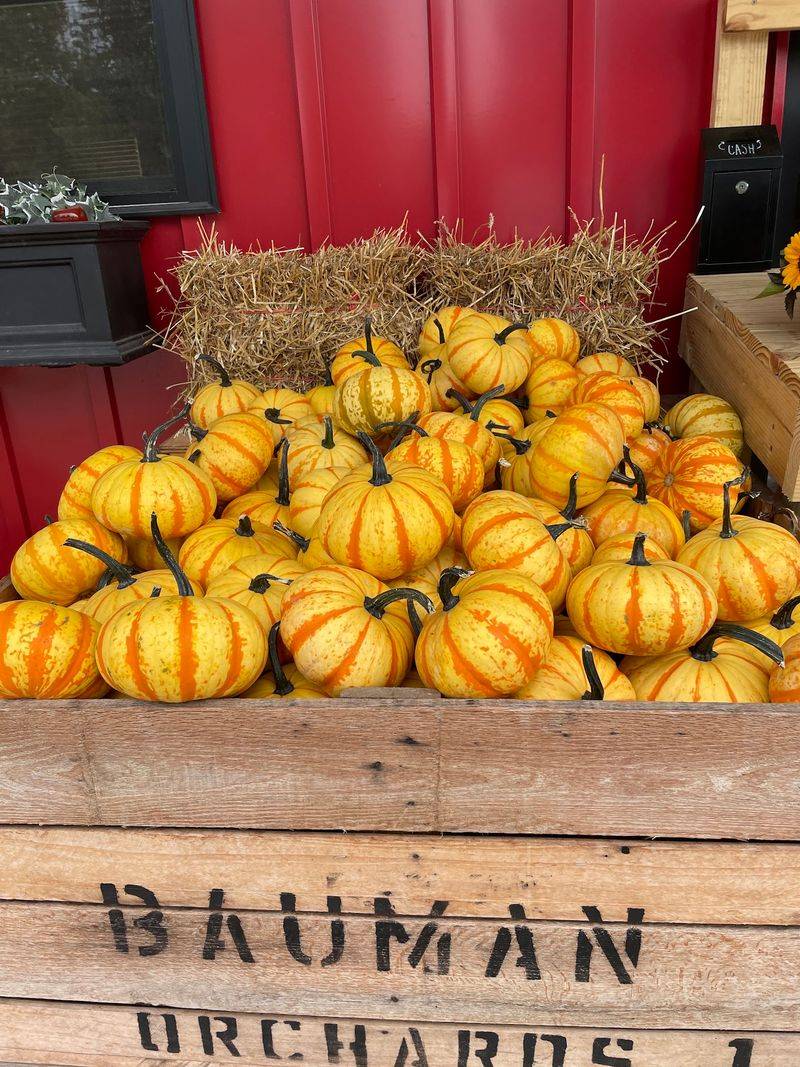Bauman Orchards Farm Market, Rittman