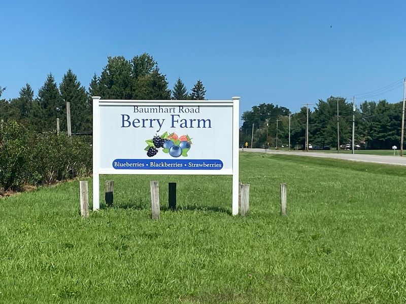 Baumhart Berry Farm, Vermilion