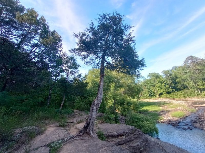 Bayou Bluff Recreation Area, Hector