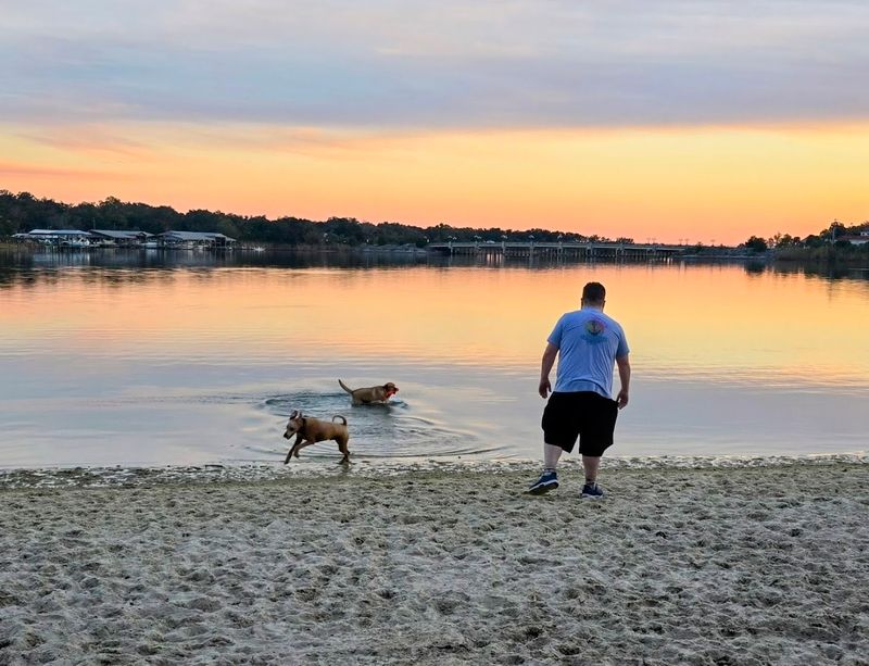 Bayview Dog Beach