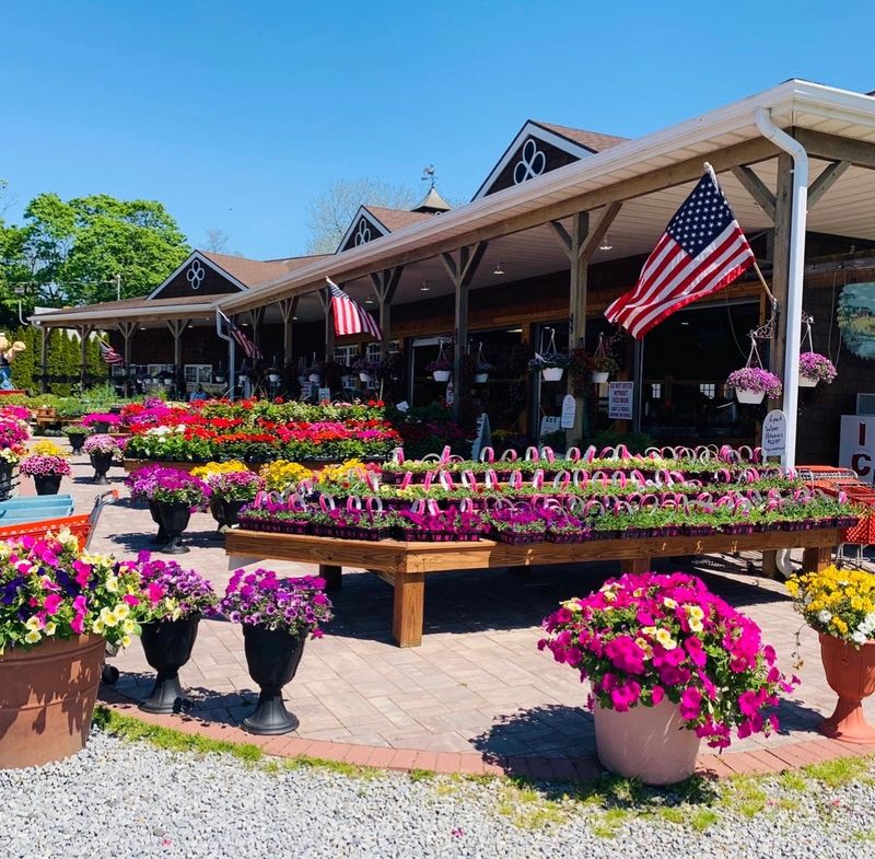 Bayview Market & Farms, Aquebogue, NY