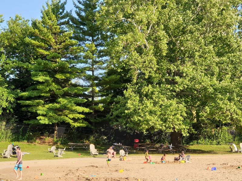 Beach Volleyball And Shady Grassy Areas Beach Volleyball And Shady Grassy Areas