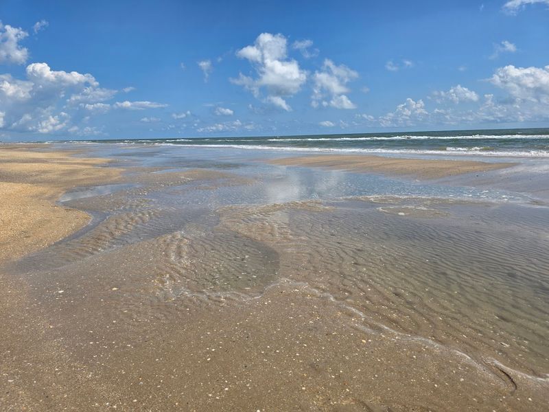 Beachcombing For Shells Across Miles Of Untouched Shore