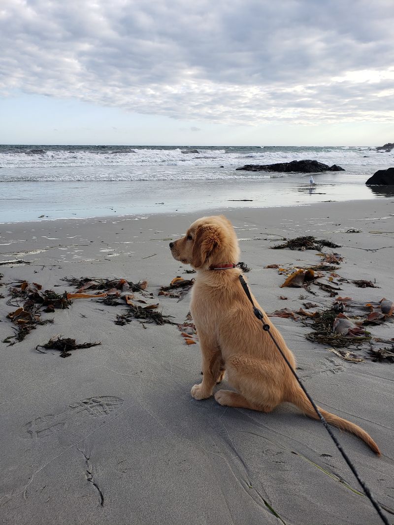 Beaches That Welcome Wheels And Walkers Alike Beaches That Welcome Wheels And Walkers Alike