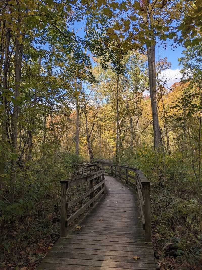 A Cycling and Walking Scene That Rewards Slow Travel