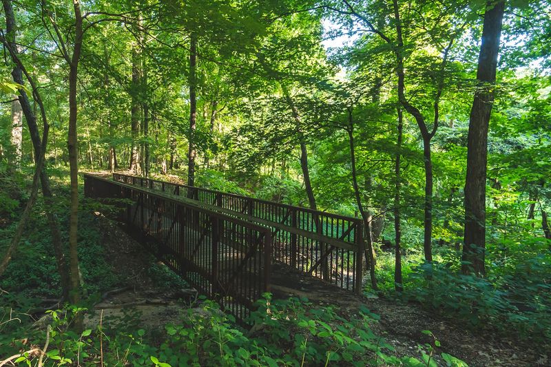Beall Woods State Park, Mount Carmel