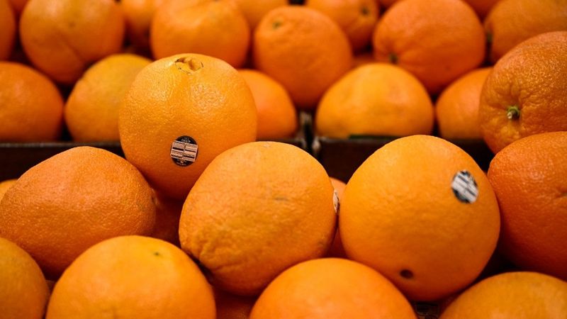 Zest Shortage: Citrus Fruits