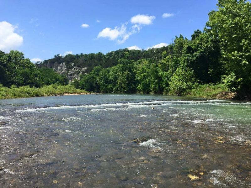 Bear Creek Runs Through It