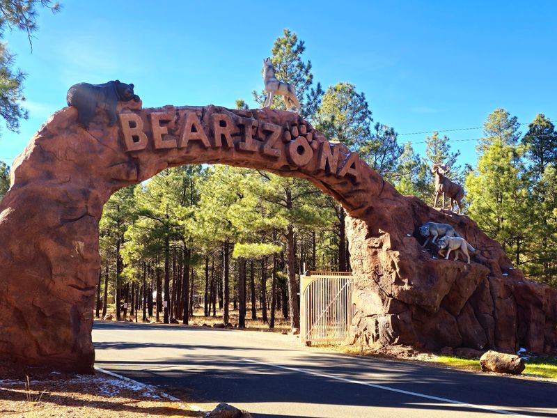 Bearizona Wildlife Park Just One Mile Away