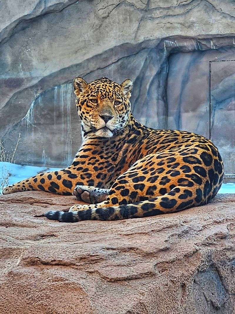 Dining With A View At Canyonlands Restaurant