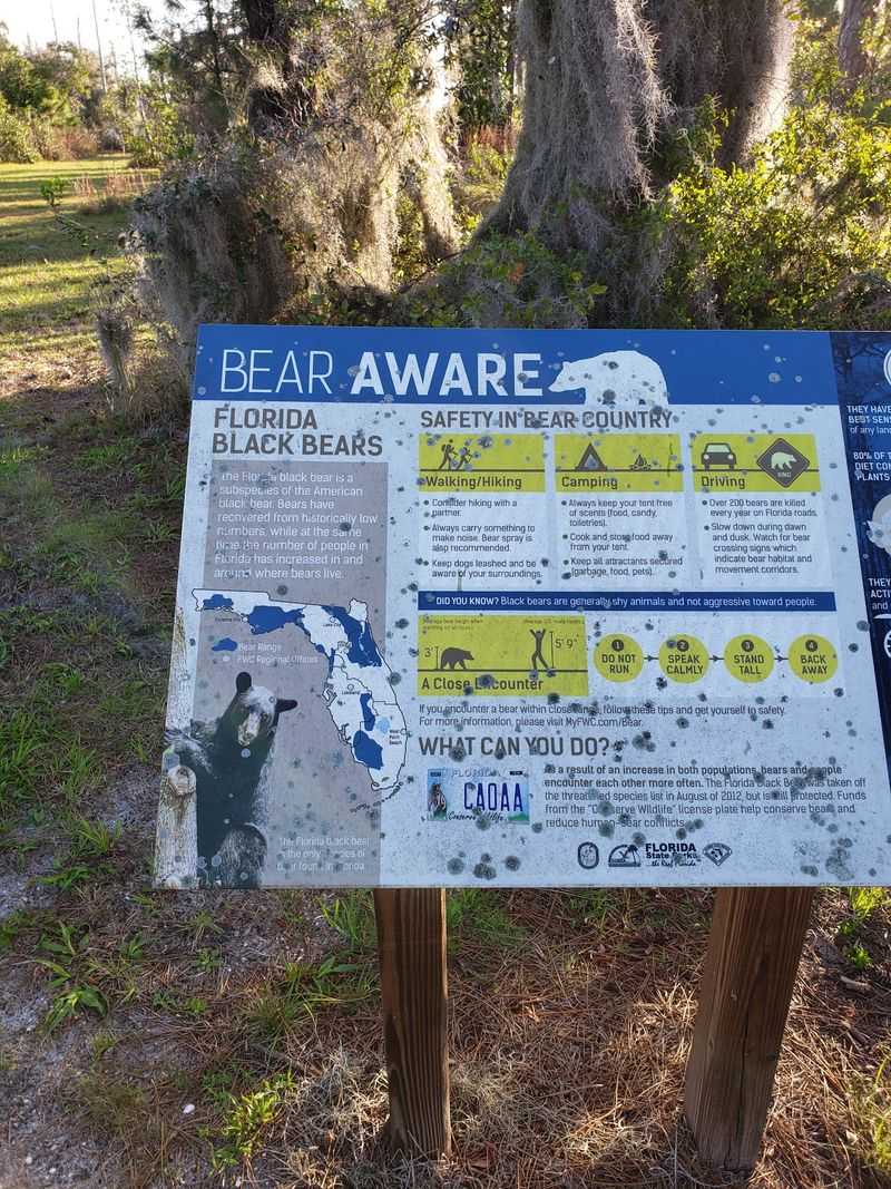 Bears Roam Here, So Come Prepared Bears Roam Here, So Come Prepared