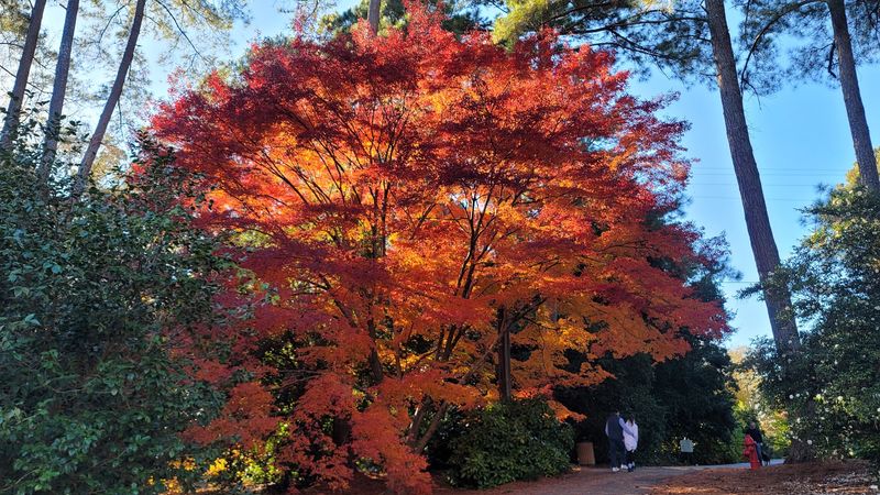 Beautiful In Every Season Of The Year