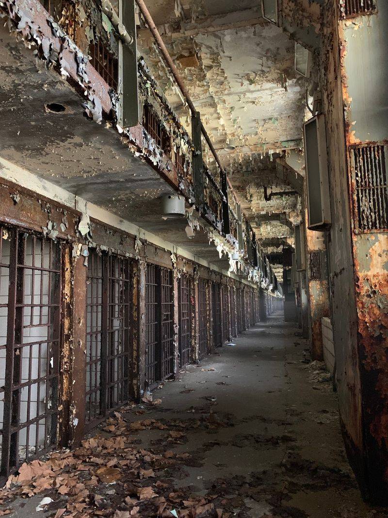 Beauty in the Decay