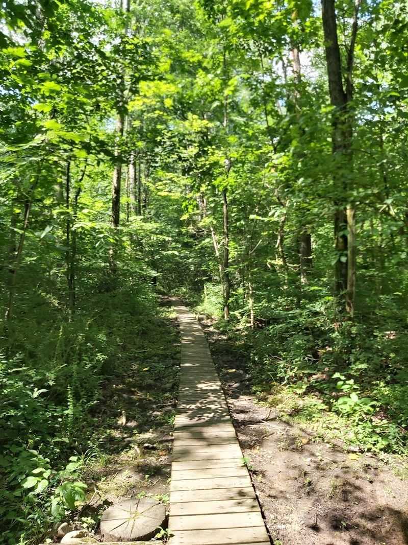 Parker Dam Boardwalk Trail