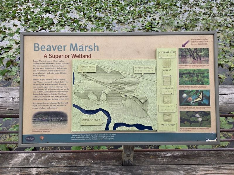 Beaver Marsh via Ohio & Erie Canal Towpath Trail, Peninsula, Ohio