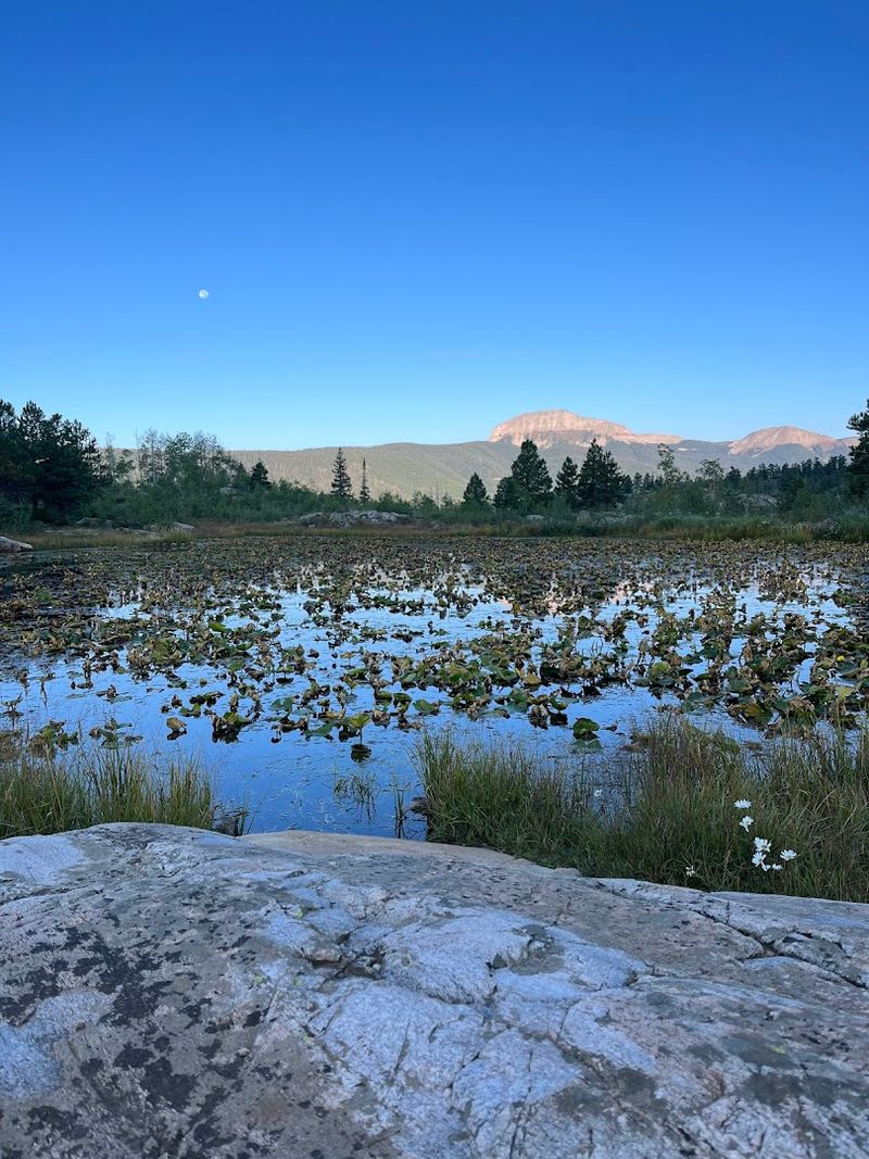 Beaver Ponds Before You Even Reach The Lake