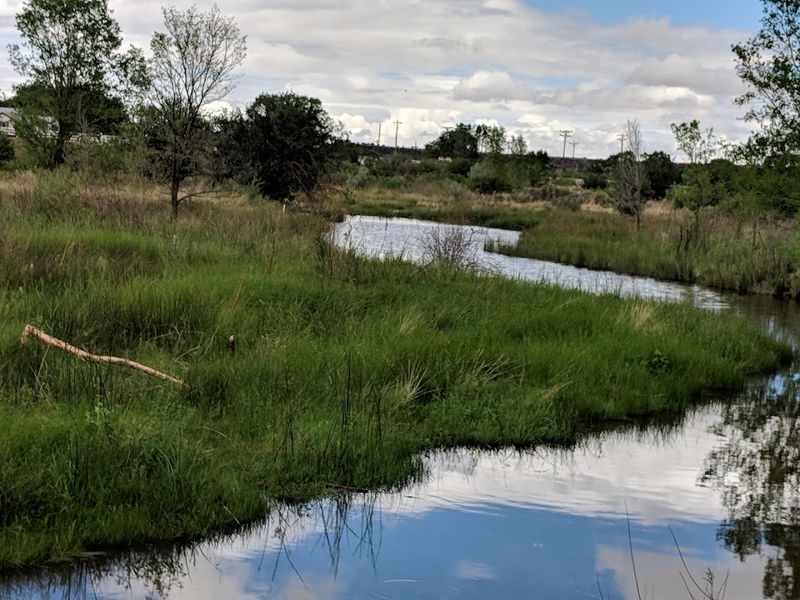 Becker Lake Wildlife Area, Springerville