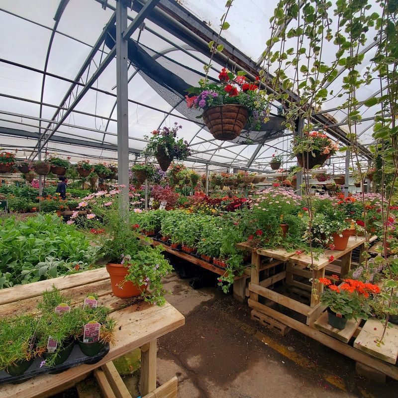 Beck's Flower Shop And Gardens