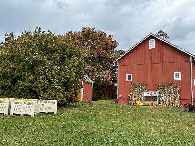 Beckwith Orchards Cider Mill, Kent