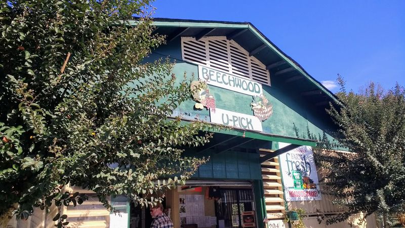 Beechwood Farms, Marietta