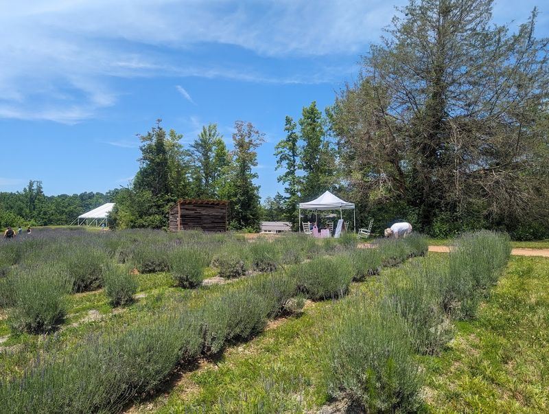 Evening Music Events That Feel Like Magic