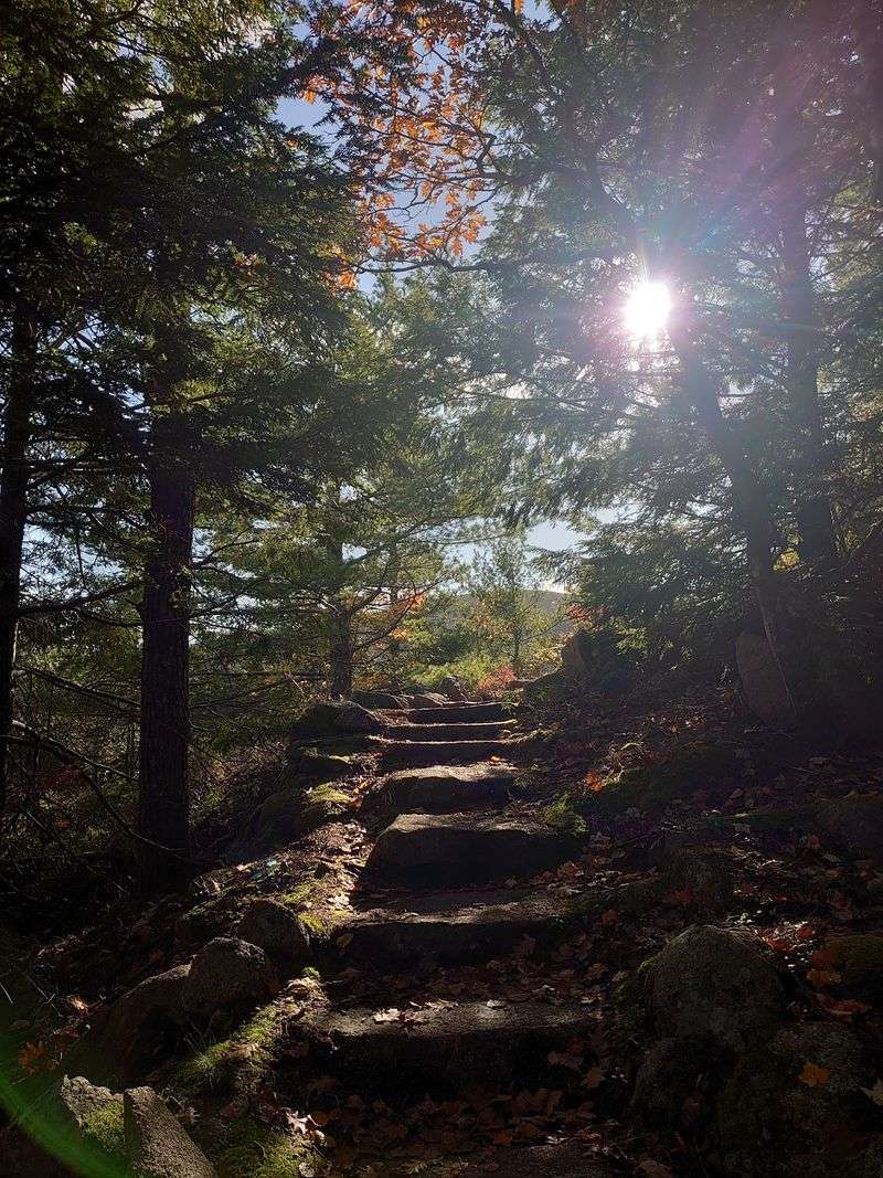 Before You Hit The Trail