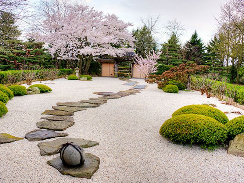 Begin beside the water in the Japanese Garden Begin beside the water in the Japanese Garden