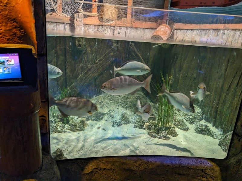 Timing Your Visit For Breathing Room