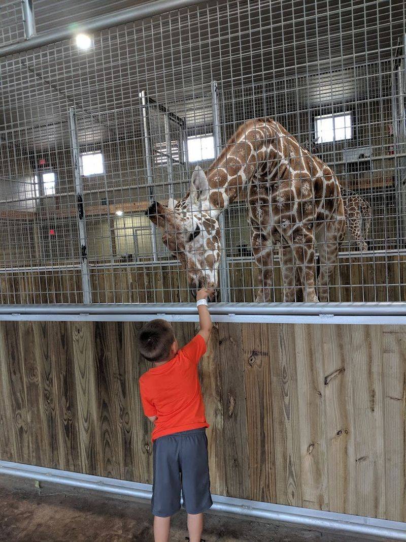 Animal Variety And Breeding Success