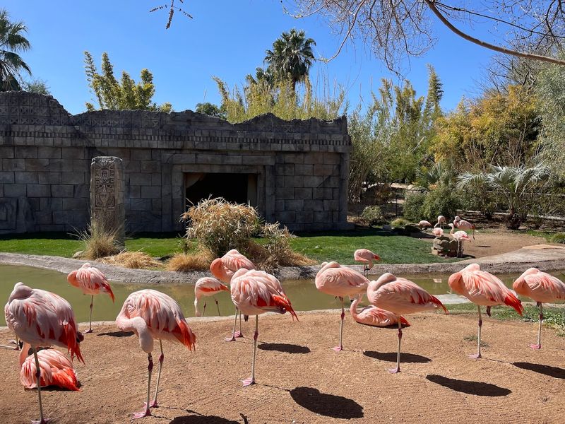 South America Loop: Colorful, Wild, and Wonderfully Noisy