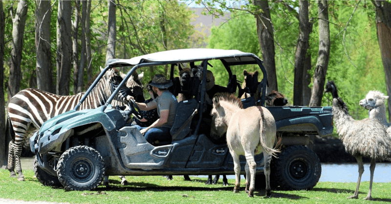 Behind-the-scenes adventure appeal